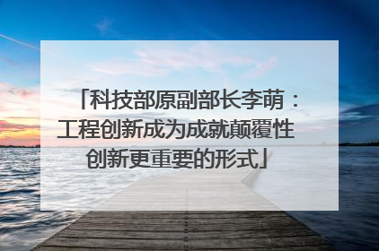 科技部原副部长李萌：工程创新成为成就颠覆性创新更重要的形式
