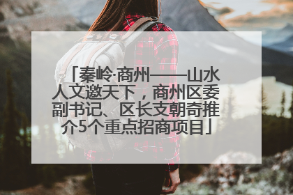 秦岭·商州——山水人文邀天下，商州区委副书记、区长支朝奇推介5个重点招商项目