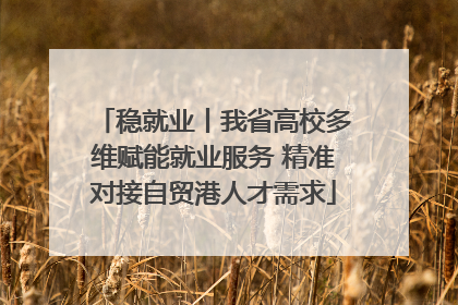 稳就业丨我省高校多维赋能就业服务 精准对接自贸港人才需求