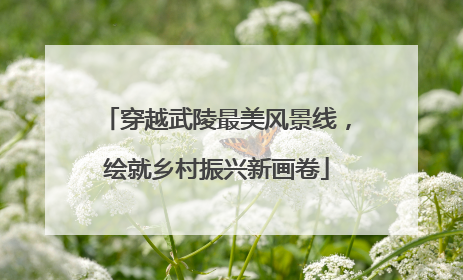 穿越武陵最美风景线，绘就乡村振兴新画卷