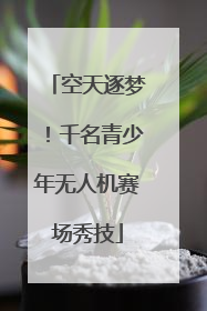 空天逐梦！千名青少年无人机赛场秀技
