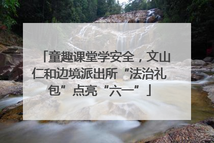 童趣课堂学安全，文山仁和边境派出所“法治礼包”点亮“六一”
