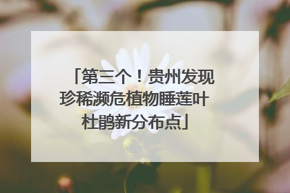 第三个！贵州发现珍稀濒危植物睡莲叶杜鹃新分布点