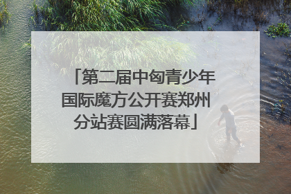 第二届中匈青少年国际魔方公开赛郑州分站赛圆满落幕