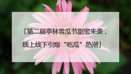 第二届亭林雪瓜节甜蜜来袭，线上线下引爆“吃瓜”热潮