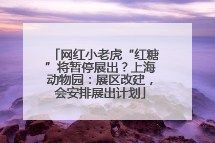 网红小老虎“红糖”将暂停展出？上海动物园：展区改建，会安排展出计划