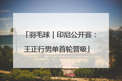 羽毛球｜印尼公开赛：王正行男单首轮晋级