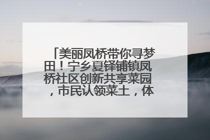 美丽凤桥带你寻梦田！宁乡夏铎铺镇凤桥社区创新共享菜园，市民认领菜土，体验耕种收获乐趣