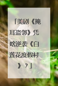 美剧《掩耳盗邻》凭啥逆袭《白莲花度假村》？