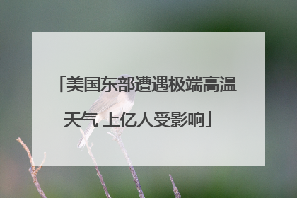 美国东部遭遇极端高温天气 上亿人受影响