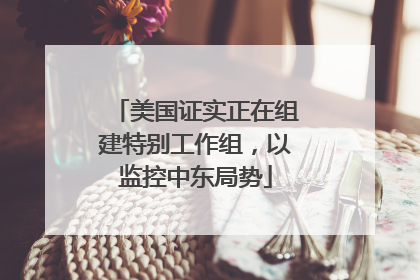 美国证实正在组建特别工作组，以监控中东局势