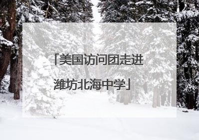 美国访问团走进潍坊北海中学
