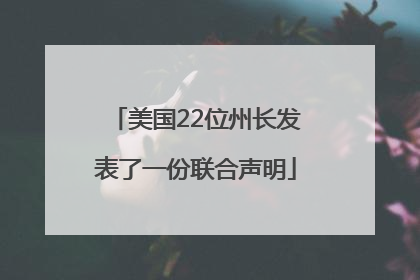 美国22位州长发表了一份联合声明