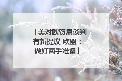 美对欧贸易谈判有新提议 欧盟：做好两手准备