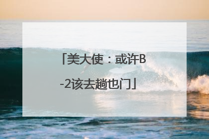 美大使：或许B-2该去趟也门