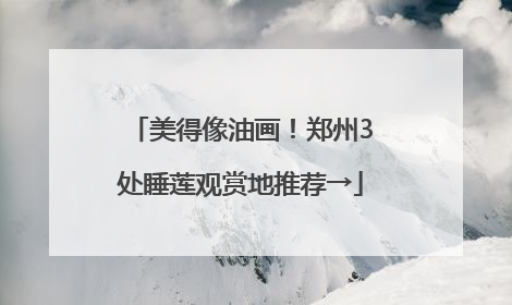 美得像油画！郑州3处睡莲观赏地推荐→