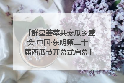 群星荟萃共襄瓜乡盛会 中国·东明第二十届西瓜节开幕式启幕