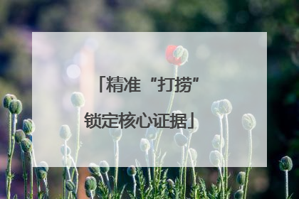 精准“打捞”锁定核心证据