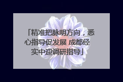 精准把脉明方向，悉心指导促发展 成都经实中迎调研指导