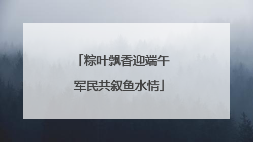粽叶飘香迎端午 军民共叙鱼水情