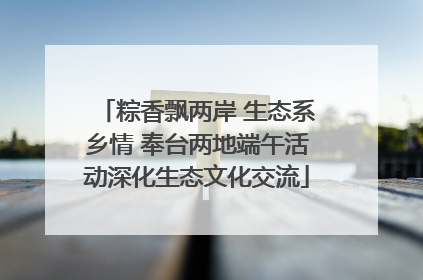 粽香飘两岸 生态系乡情 奉台两地端午活动深化生态文化交流