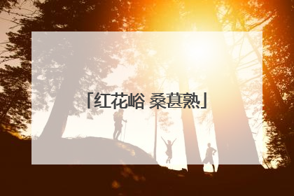 红花峪 桑葚熟
