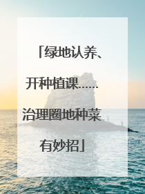 绿地认养、开种植课……治理圈地种菜有妙招