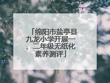 绵阳市盐亭县九龙小学开展一、二年级无纸化素养测评