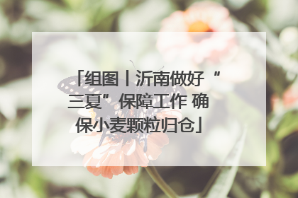 组图丨沂南做好“三夏”保障工作 确保小麦颗粒归仓