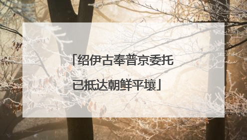 绍伊古奉普京委托已抵达朝鲜平壤