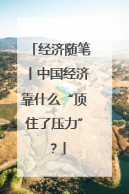 经济随笔丨中国经济靠什么“顶住了压力”？
