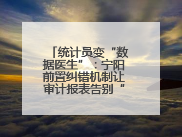 统计员变“数据医生”：宁阳前置纠错机制让审计报表告别“带病上岗”