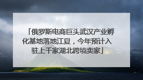 俄罗斯电商巨头武汉产业孵化基地落地江夏，今年预计入驻上千家湖北跨境卖家