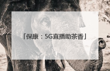 保康：5G直播助茶香