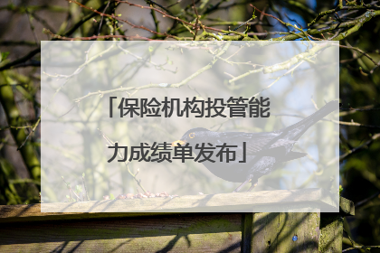 保险机构投管能力成绩单发布