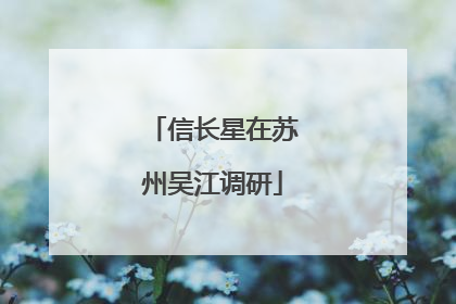 信长星在苏州吴江调研