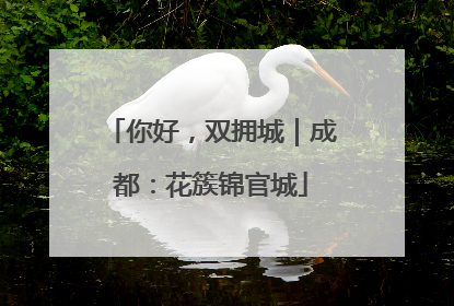 你好，双拥城｜成都：花簇锦官城