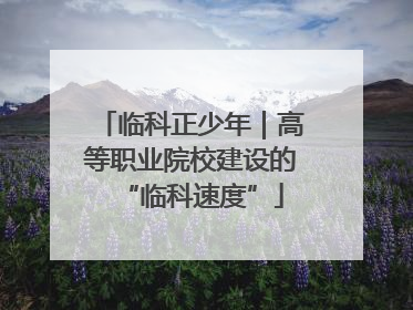 临科正少年｜高等职业院校建设的“临科速度”