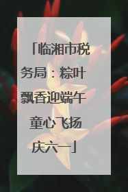 临湘市税务局：粽叶飘香迎端午 童心飞扬庆六一