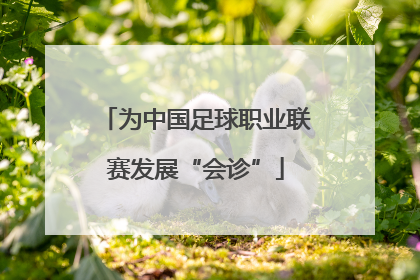 为中国足球职业联赛发展“会诊”