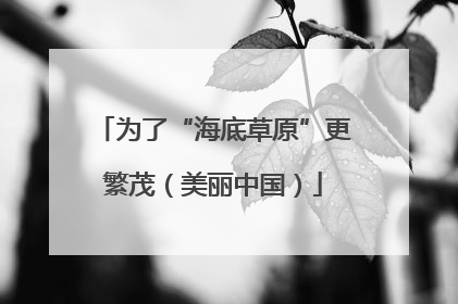 为了“海底草原”更繁茂（美丽中国）