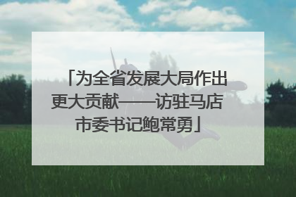 为全省发展大局作出更大贡献——访驻马店市委书记鲍常勇