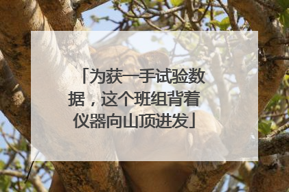 为获一手试验数据，这个班组背着仪器向山顶进发