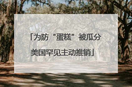 为防“蛋糕”被瓜分 美国罕见主动推销