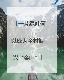 一片绿叶何以成为乡村振兴“金叶”