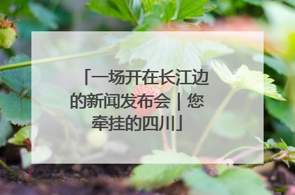 一场开在长江边的新闻发布会｜您牵挂的四川