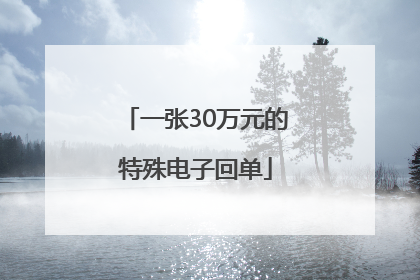 一张30万元的特殊电子回单
