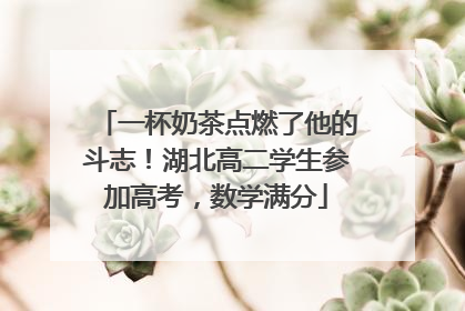 一杯奶茶点燃了他的斗志！湖北高二学生参加高考，数学满分