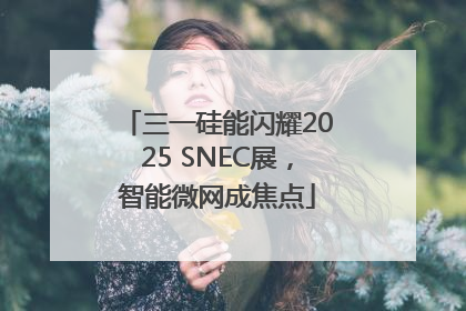 三一硅能闪耀2025 SNEC展，智能微网成焦点