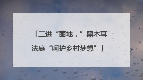 三进“菌地，”黑木耳法庭“呵护乡村梦想”
